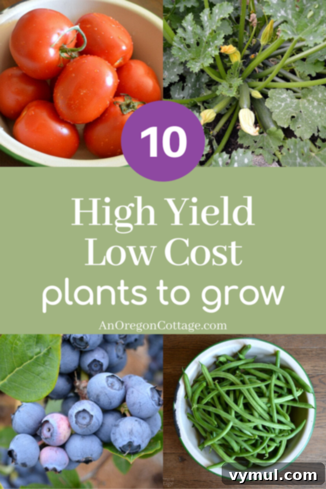 Budget Gardening 10 Plants That Pay You Back 13 high yield low cost plants to grow_
