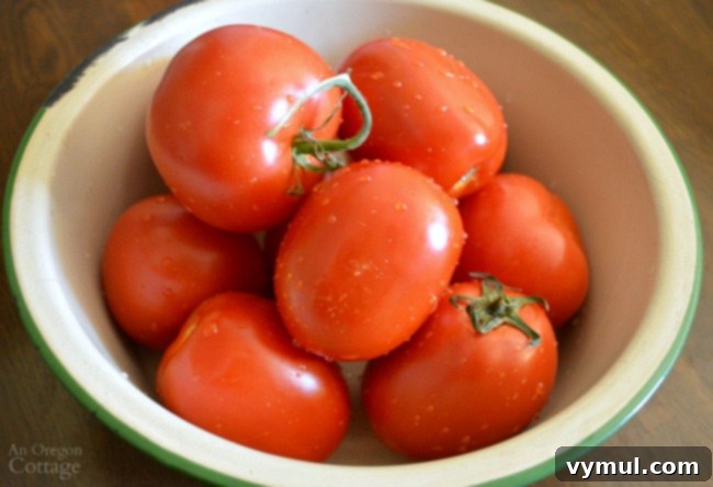 Budget Gardening 10 Plants That Pay You Back 5 Gardening to Save Money-tomatoes