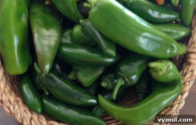 Budget Gardening 10 Plants That Pay You Back 9 Gardening to Save Money-hot peppers