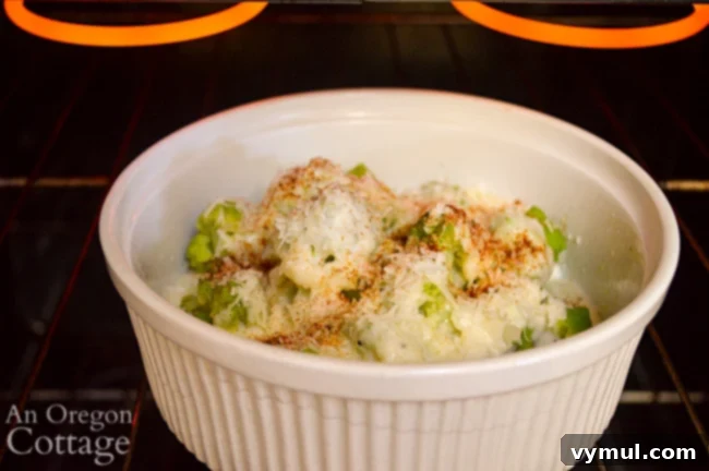 Velvety Broccoli Cauliflower Parmesan Bake 8 Broccoli and cauliflower parmesan dish broiling in the oven, with cheese bubbling and turning golden