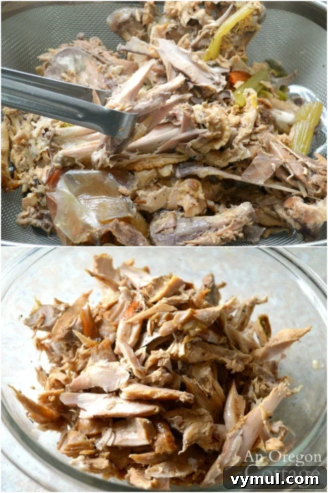 Removing tender meat from turkey bones after making broth for homemade turkey noodle soup.