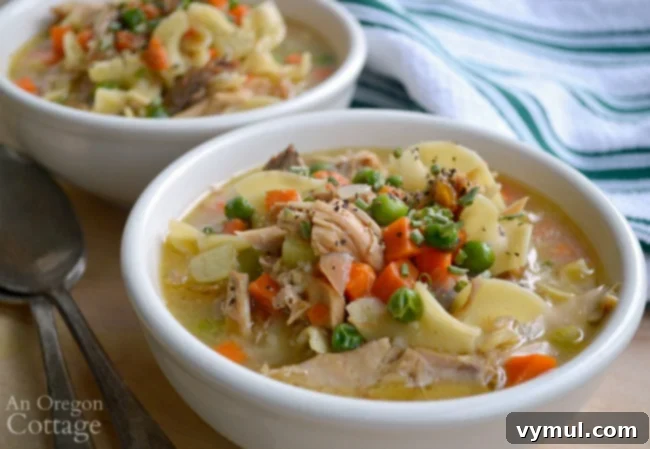 Two bowls of delicious homemade turkey noodle soup, ready to be served.