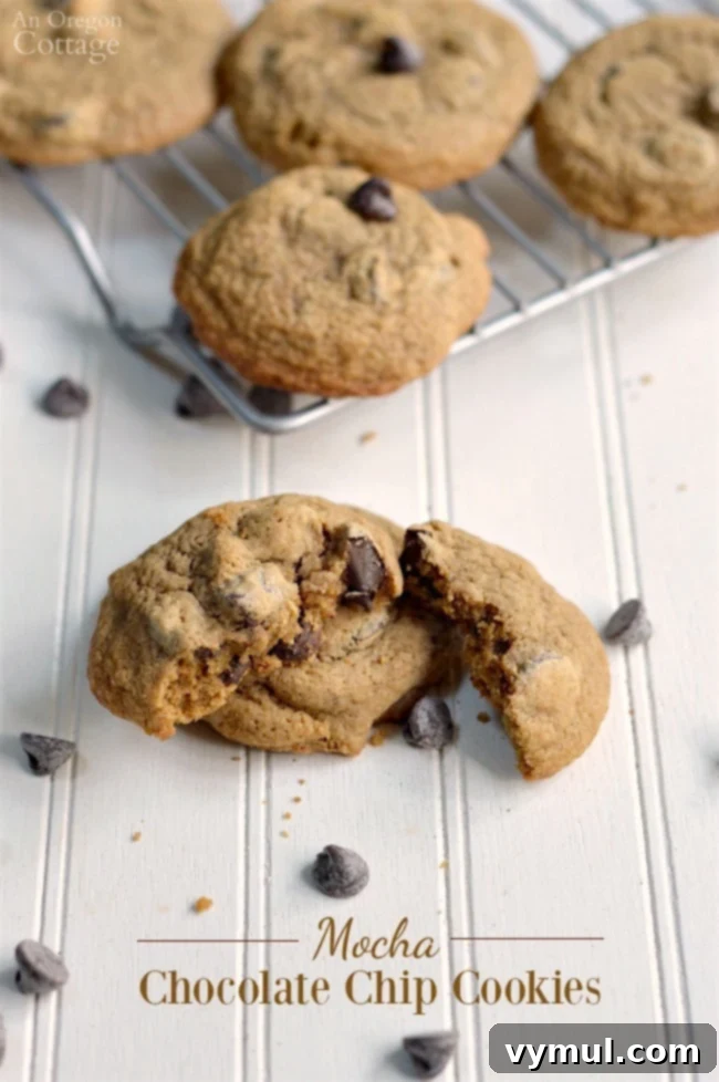 Delicious Mocha Chip Cookies from AnOregonCottage.com, a crowd-pleasing coffee and chocolate cookie combination.