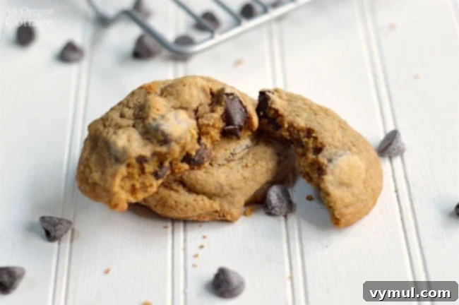 Close-up of moist and chewy mocha chip cookies, showcasing their rich texture.