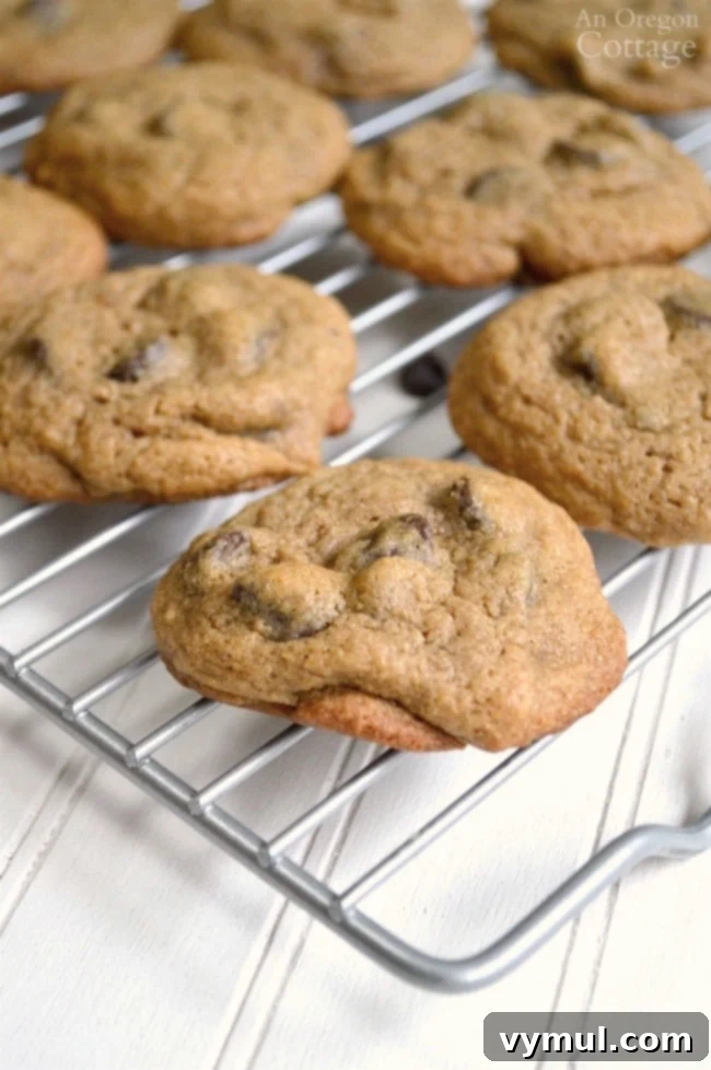 Freshly baked, flavorful mocha chip cookies cooling on a wire rack.