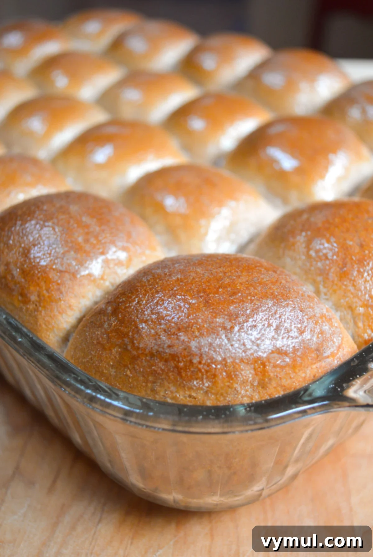 Pillowy Soft 100% Whole Wheat Dinner Rolls 2 Freshly baked whole wheat dinner rolls in a glass baking pan, golden brown and inviting.