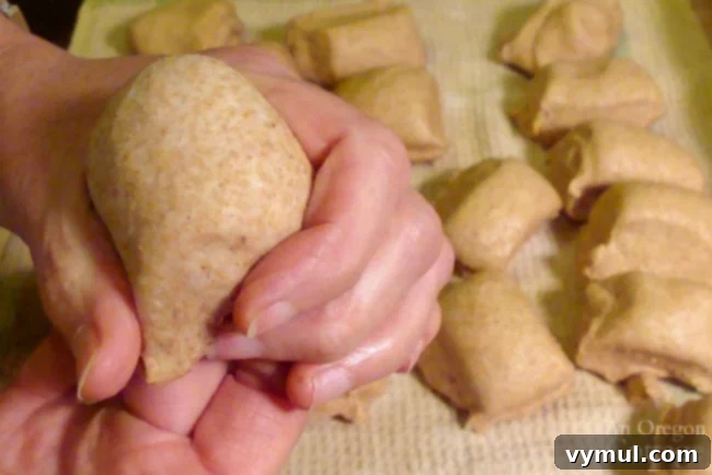 Pillowy Soft 100% Whole Wheat Dinner Rolls 12 Hands shaping a piece of whole wheat dough into a smooth ball for dinner rolls.