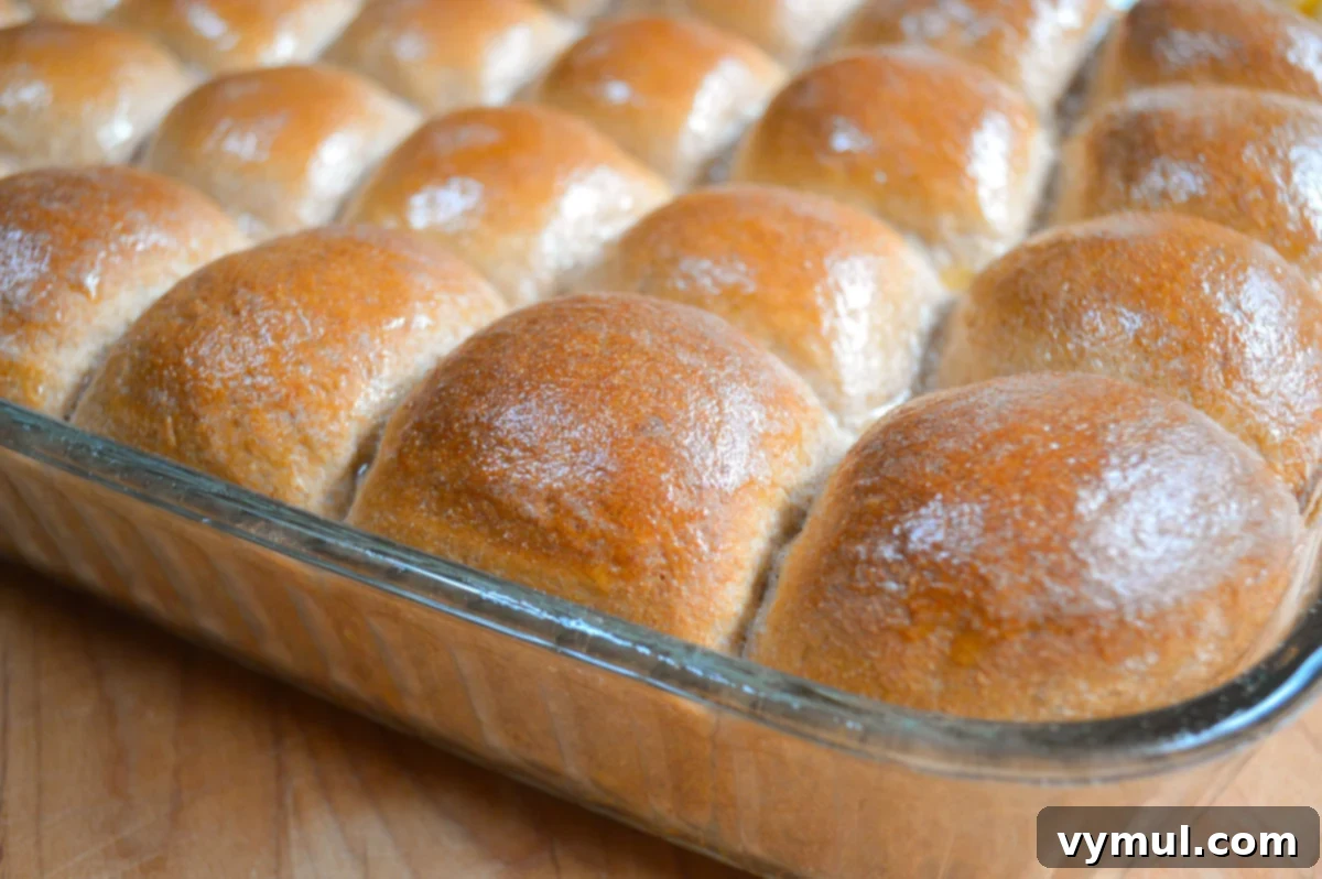 Pillowy Soft 100% Whole Wheat Dinner Rolls 15 Freshly baked and buttered whole wheat dinner rolls, golden brown, in a glass baking pan.