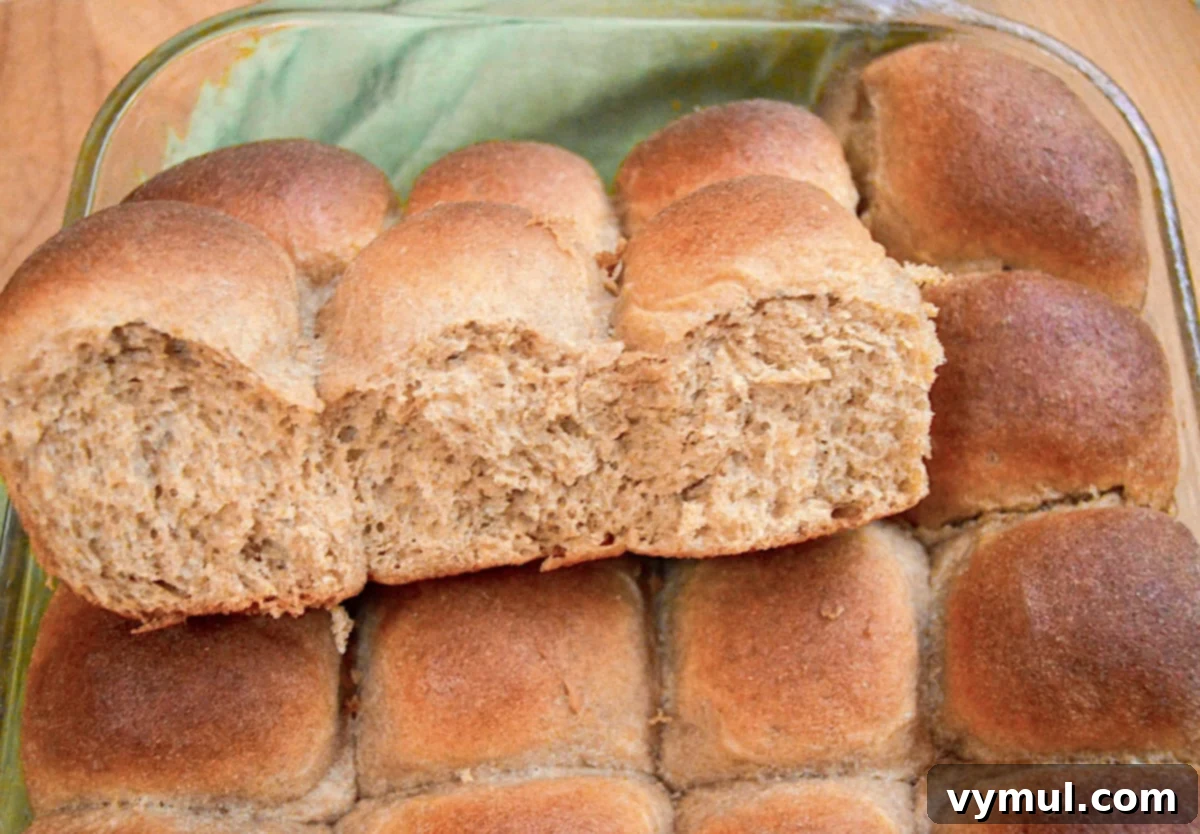 Pillowy Soft 100% Whole Wheat Dinner Rolls 16 A section of golden whole wheat dinner rolls pulled apart, revealing their soft, fluffy interiors.