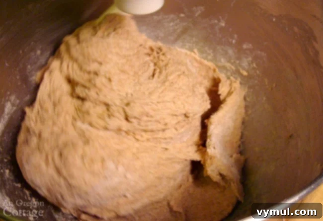 Pillowy Soft 100% Whole Wheat Dinner Rolls 6 Dough hook kneading whole wheat roll dough in a stand mixer, dough is still sticky.