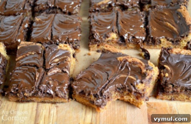 Chocolate Peanut Butter Swirl Bliss 9 Close-up of baked Peanut Butter Swirl Bars showing the chewy texture and chocolate distribution