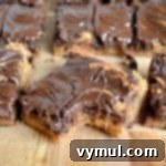 Chocolate Peanut Butter Swirl Bliss 10 Peanut Butter Swirl Bars with a bite taken out, showing the swirl inside