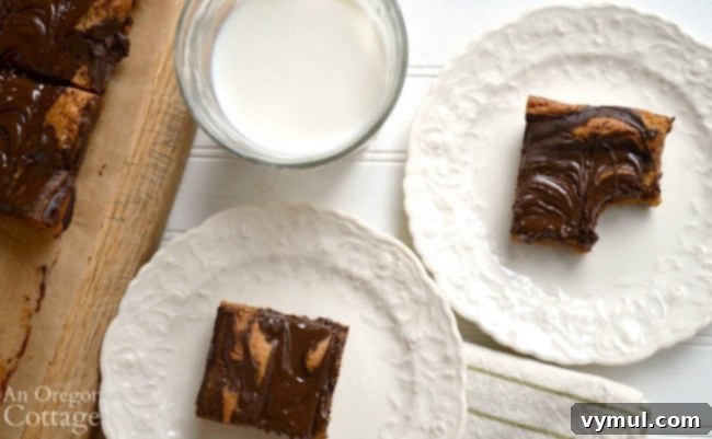 Chocolate Peanut Butter Swirl Bliss 3 Peanut Butter Swirl Bars with a glass of milk, a perfect snack