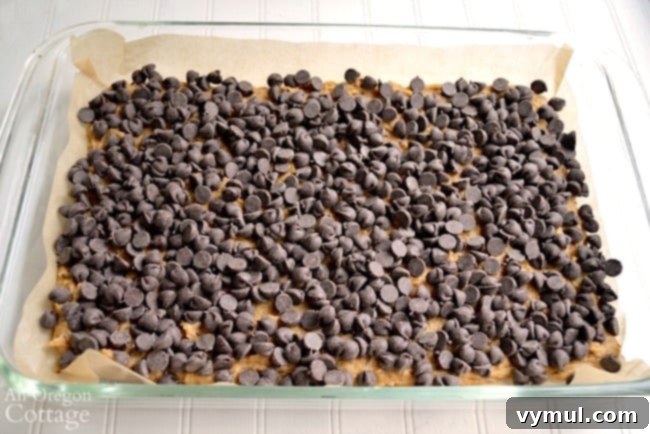 Chocolate Peanut Butter Swirl Bliss 6 Peanut Butter Swirl Bars with a generous chocolate chip layer on top of the dough