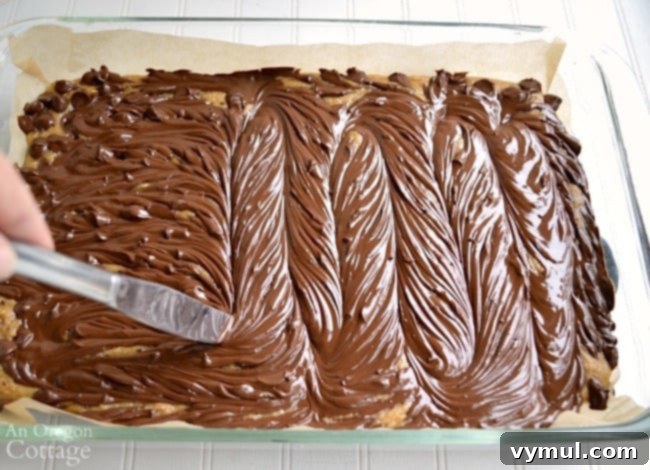 Chocolate Peanut Butter Swirl Bliss 7 Peanut Butter Swirl Bars with melted chocolate being swirled into the blondie base