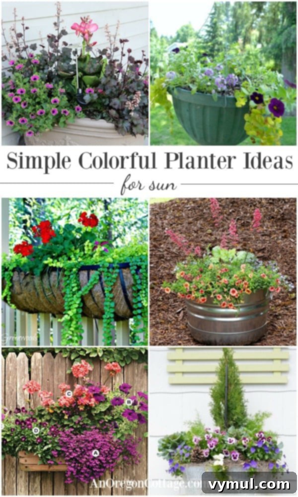 Sun-Kissed Planters: Vibrant Color Ideas 2 Simple and colorful planter ideas using easy-to-find flowers that thrive in sun.
