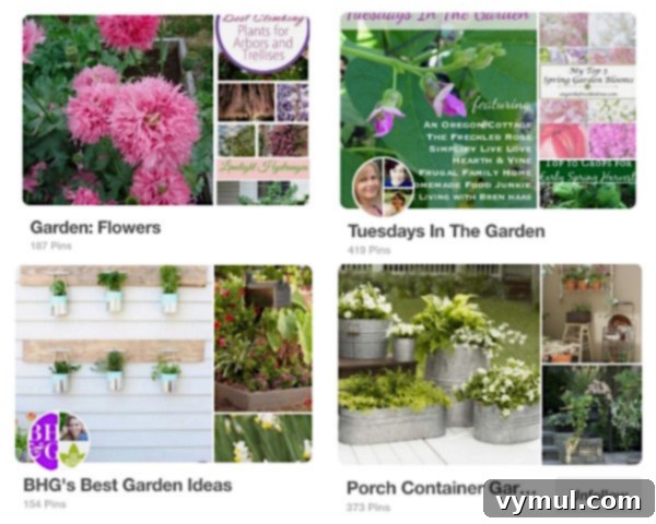 Sun-Kissed Planters: Vibrant Color Ideas 20 Flower garden Pinterest Boards for sun-loving planters