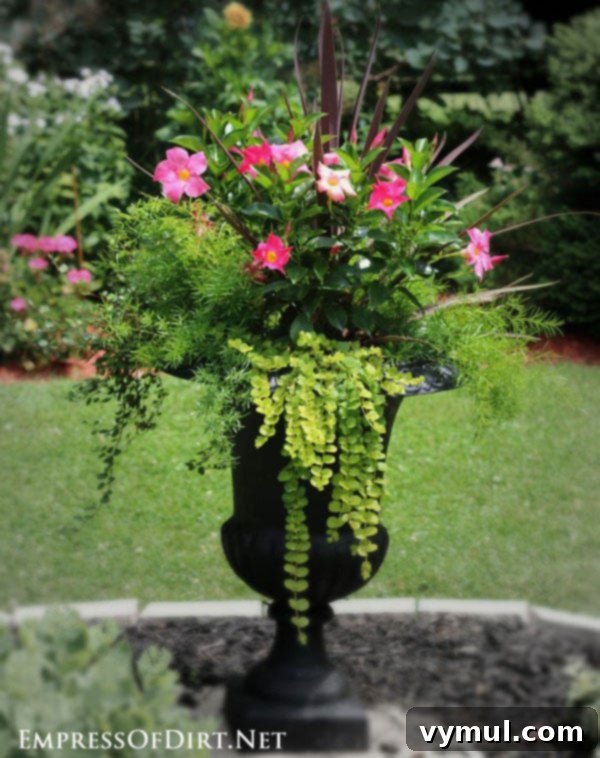 Sun-Kissed Planters: Vibrant Color Ideas 5 Urn with pink impatiens, asparagus fern, creeping Jenny, and red dracaena from Empress of Dirt