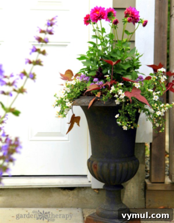 Sun-Kissed Planters: Vibrant Color Ideas 7 Sun-loving planter combination with dahlia, sweet potato vine, bacopa, and sweet alyssum from Garden Therapy