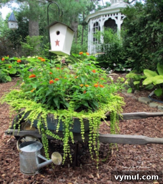 Sun-Kissed Planters: Vibrant Color Ideas 9 Old wheelbarrow with orange lantana and creeping jenny via Our Fairfield Home & Garden