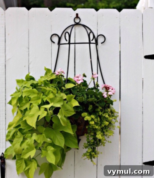 Sun-Kissed Planters: Vibrant Color Ideas 10 Hanging iron planter of sweet potato vine, creeping jenny, pink geraniums from Nest of Posies
