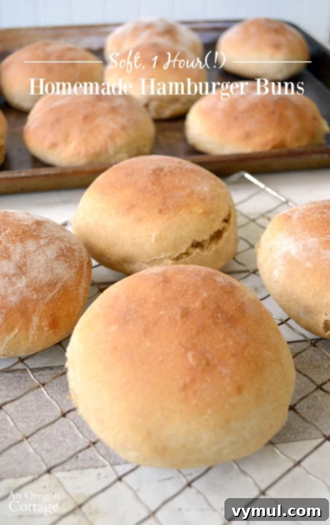 Quick and Tender Homemade Hamburger Buns or Breadsticks 2 Soft and Tender Homemade Hamburger Buns- ready in 1 hour!