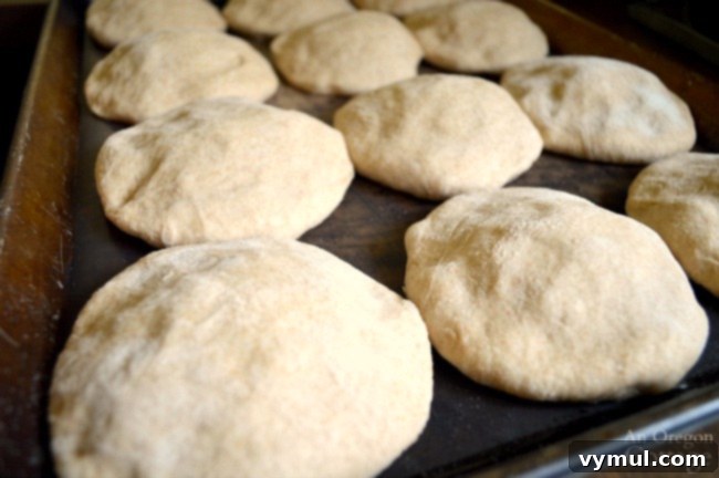 Quick and Tender Homemade Hamburger Buns or Breadsticks 6 Soft-Tender Hamburger Buns ready for oven
