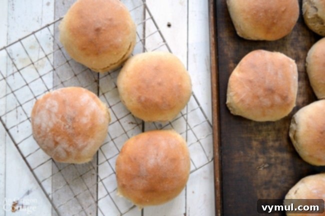 Quick and Tender Homemade Hamburger Buns or Breadsticks 7 Quick-Tender Hamburger Buns fresh from oven