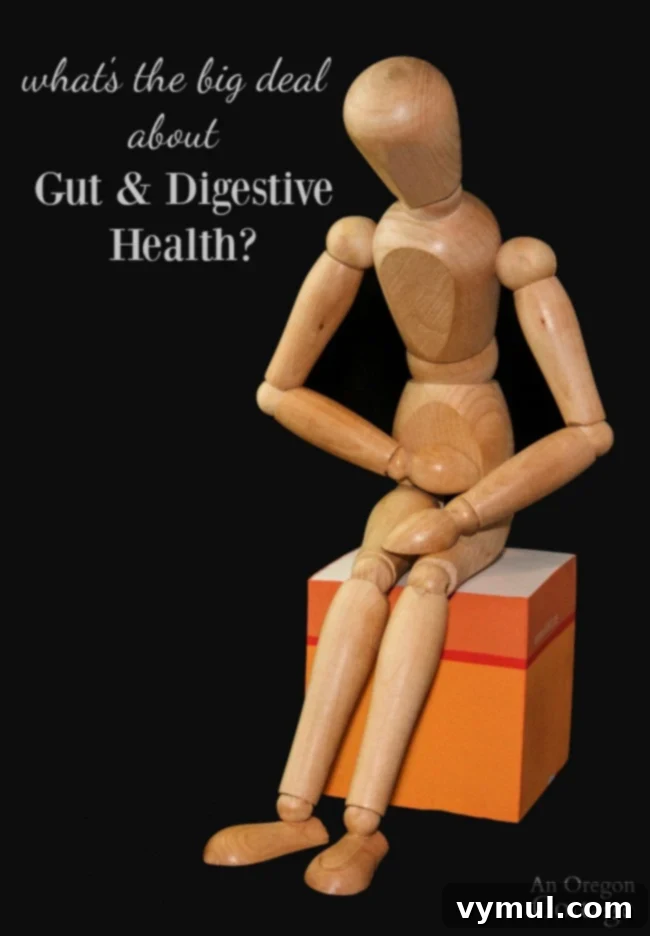 Gut Health Essentials: My Path, Your Plan for a Healthier Life 2 Why care about healthy gut and simple steps everyone can take for gut and digestive health