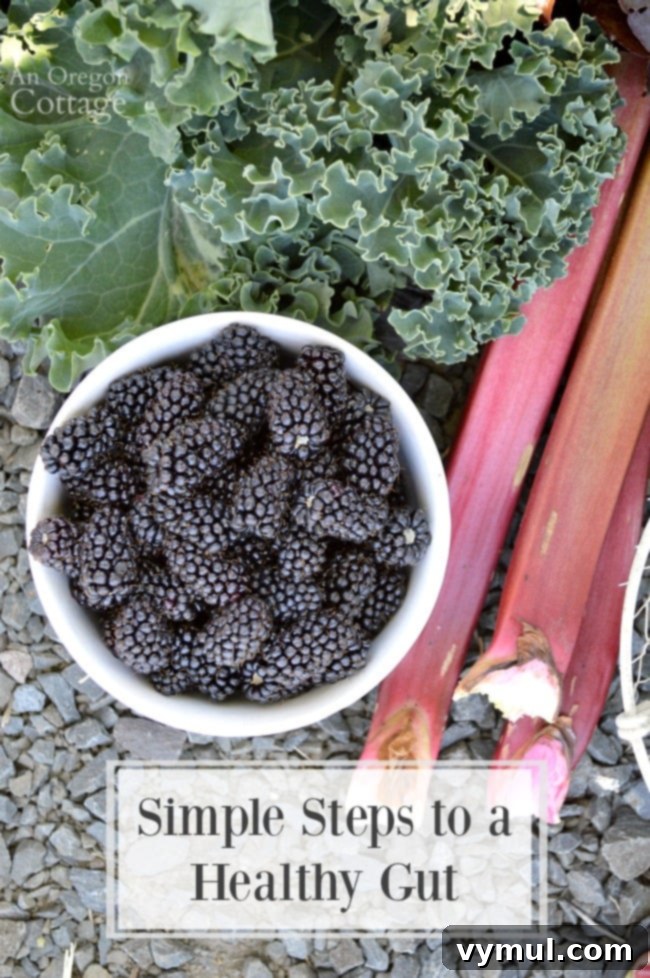 Gut Health Essentials: My Path, Your Plan for a Healthier Life 3 Simple steps to a healthy gut includes real, whole foods, bone broth, and more.