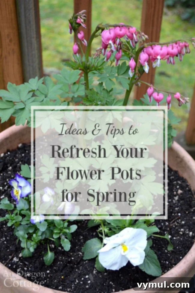 Ideas and tips to refresh your flower pots for spring using readily available spring flowers like primroses, violas, pansies and ranunculus. Brightly colored flowers in various pots on a deck.