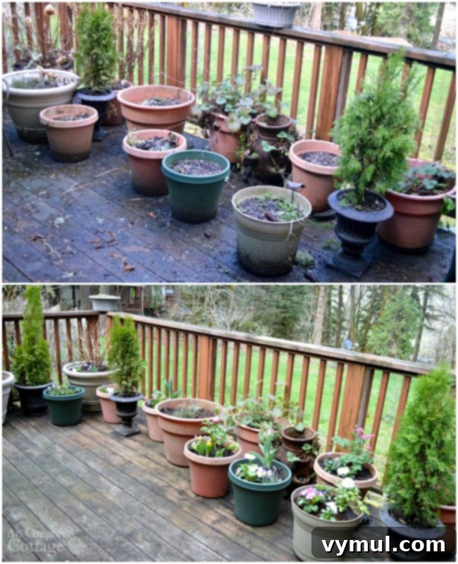 Dramatic before and after comparison of a deck area, showing tired winter pots transformed into vibrant spring flower pots.