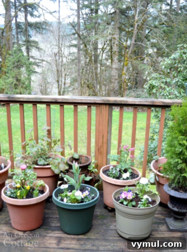 Beautifully planted flower pots for spring arranged on a refreshed deck, showcasing vibrant colors and fresh greenery.