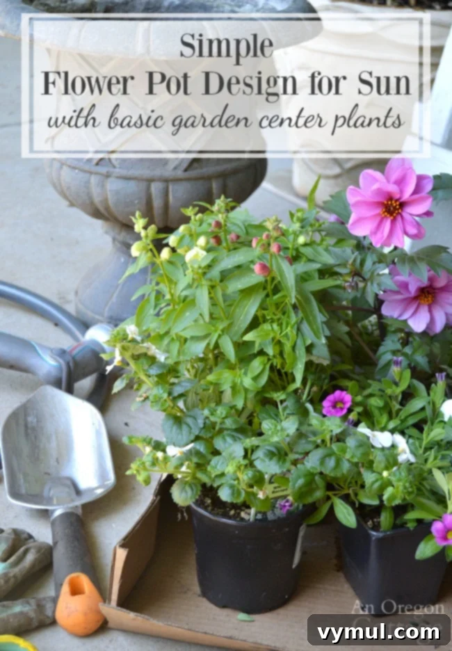 Bright & Easy: Sun-Loving Pot Designs with Everyday Nursery Finds 2 Simple Flower Pot Design for Sun