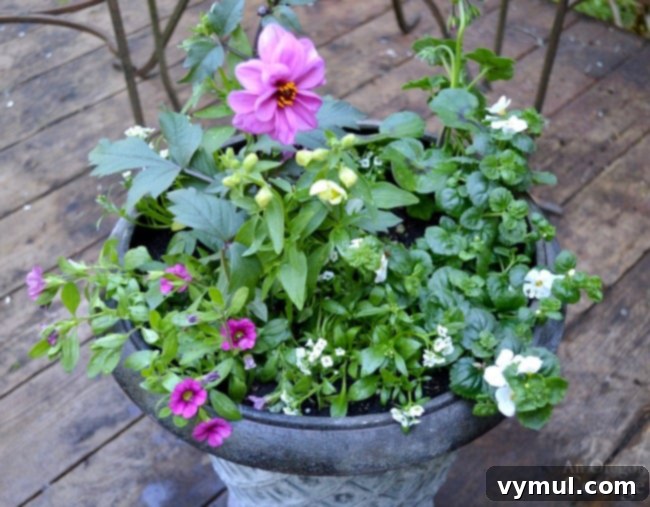 Bright & Easy: Sun-Loving Pot Designs with Everyday Nursery Finds 10 Simple Flower Pot Design for Sun above