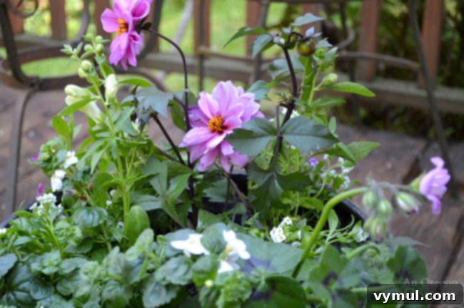 Bright & Easy: Sun-Loving Pot Designs with Everyday Nursery Finds 9 Garden center Flower Pot Design for Sun close