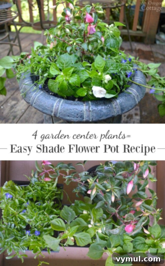 Use 4 basic, affordable garden center plants to create this beautiful flower pot designed for shade, featuring a thriller, filler, and spiller combination.