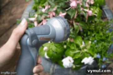 Watering container plants with Gilmour Thumb Control Nozzle for easy flow adjustment