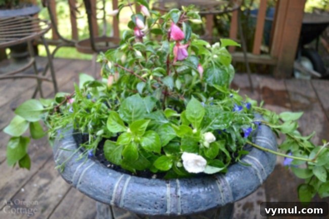 Simple Flower Pot Design for Shade, showcasing a lush, full container