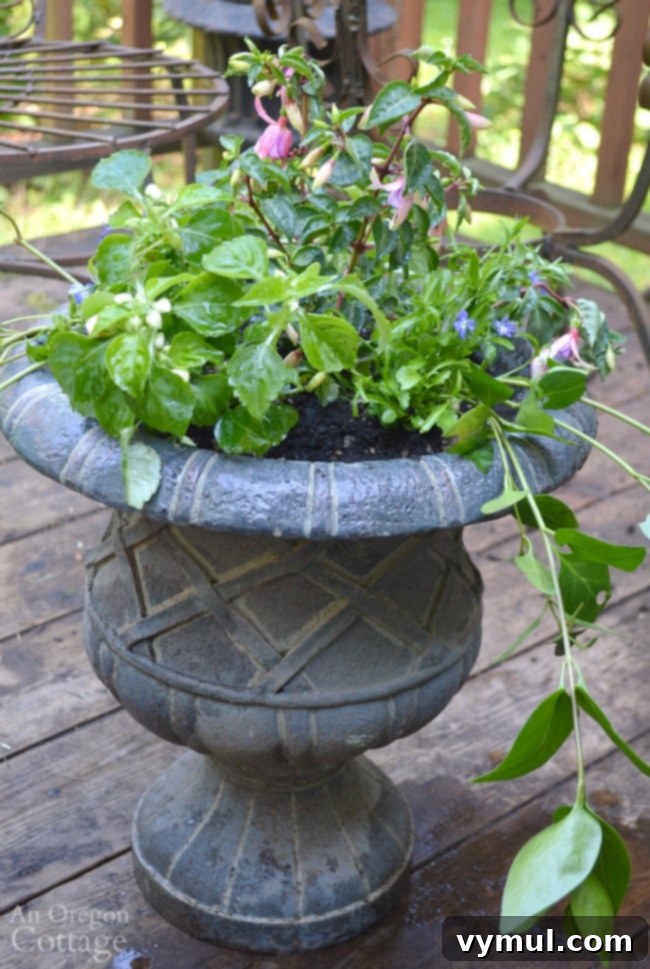 Easy Flower Pot Design for Shade recipe graphic, summarizing plants and quantities