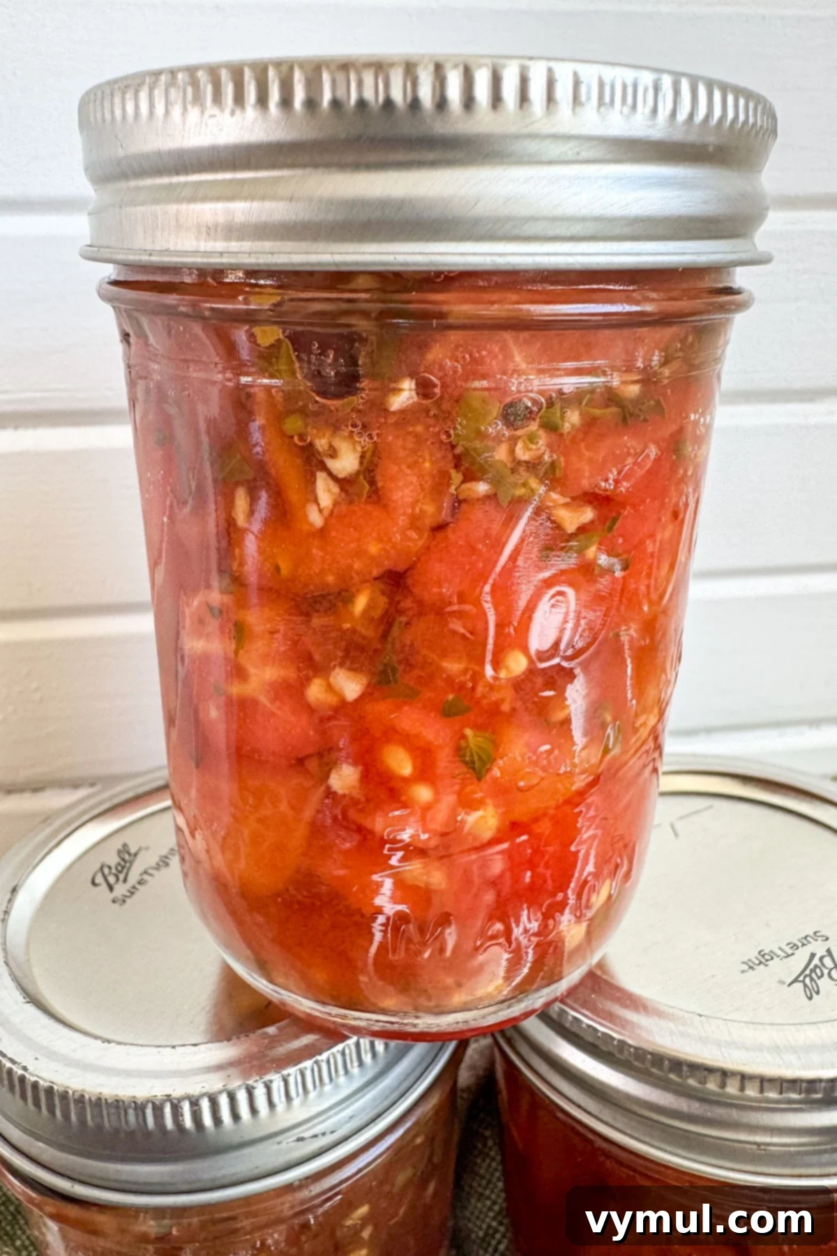 Easy Canned Tomato Bruschetta Summer Captured 2 jar of canned tomato bruschetta