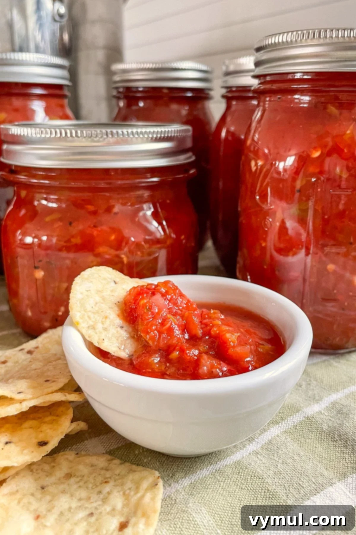 Freshly canned salsa jars next to a bowl of homemade salsa and tortilla chips, ready for snacking.