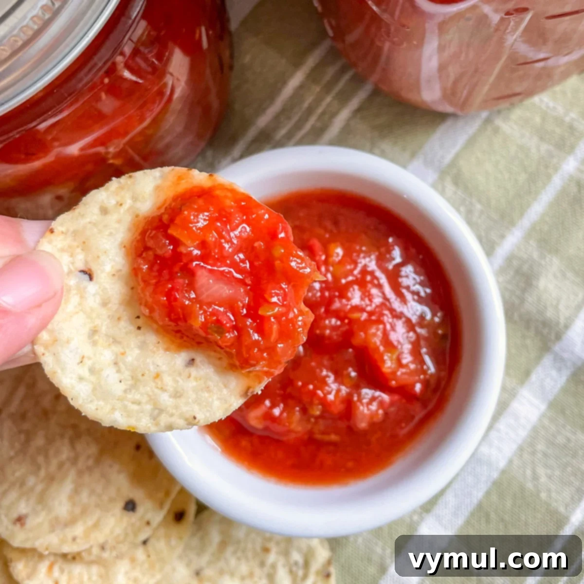A tortilla chip generously loaded with homemade canned salsa, highlighting its thick texture and vibrant appearance.