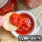 A tortilla chip with homemade canned salsa, next to a white bowl, representing the perfect snack.