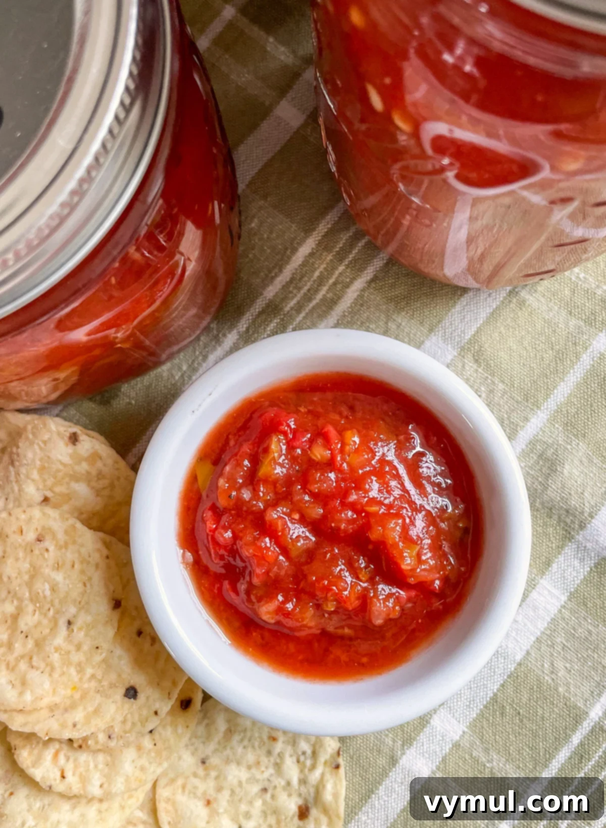 A serving of homemade canned salsa with tortilla chips on a rustic white bowl, surrounded by more jars of preserved salsa.