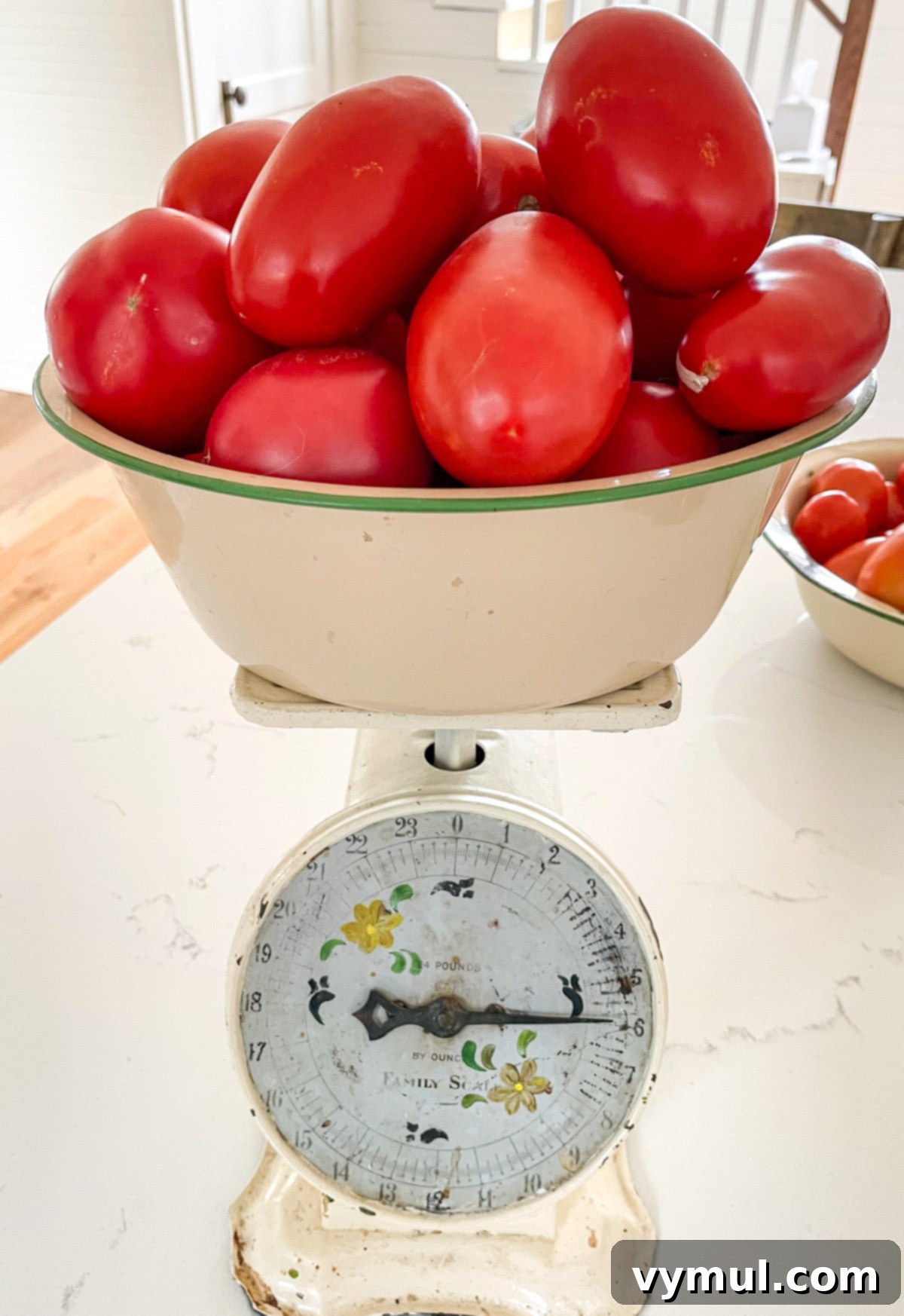 Weighing freshly picked garden tomatoes on a vintage kitchen scale, ready for homemade salsa canning.