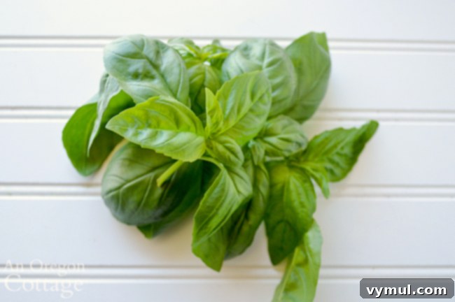 Fresh basil leaves, a key aromatic ingredient for summer pasta salad