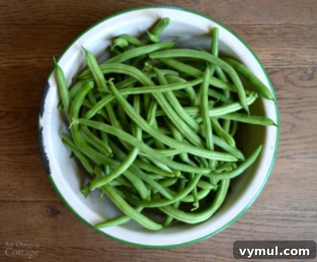 Green beans in enamel bowl