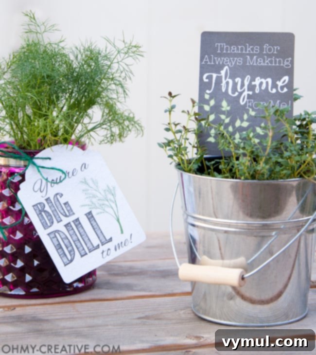 15 Easy and Beautiful Handmade Garden Gifts 11 Potted Herb DIY Gifts with Printable Tags