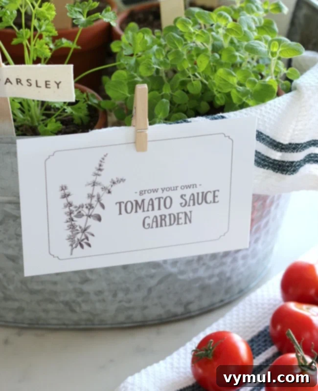 15 Easy and Beautiful Handmade Garden Gifts 10 “Grow a Tomato Sauce Garden” Gift Basket @ Satori Design